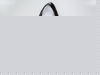 fashion handbag