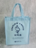 fashion handle non-woven fabric shopping bag