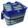 fashion insulated cooler bag with handles