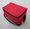 fashion insulated cooler bags