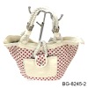 fashion ladies bag