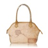 fashion lady handbag