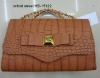 fashion lady handbag