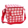 fashion lady lunch cooler bag