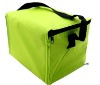 fashion lunch cooler bag