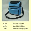 fashion lunch cooler bag