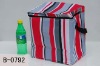 fashion lunch cooler bags