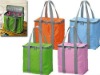 fashion non woven cooler bag