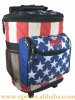 fashion outdoor cooler bag