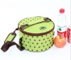 fashion picnic bag cooler bag