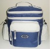 fashion picnic cooler bag