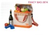 fashion picnic cooler bag