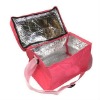 fashion picnic outdoors breast milk baggie cooler bag