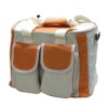 fashion pincin cooler bag