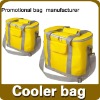 fashion promotional cooler bag