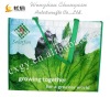 fashion shopping bag