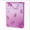 fashion shopping paper bag