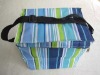 fashion streak cooler bags