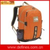 fashion travel backpack