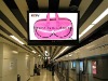 fashion travel bag