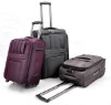 fashion travel bag and travel luggage