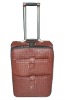 fashion trolley luggage