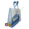 fashionable Eco friendly High Quality Non woven shopping bag