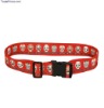 fashionable luggage belt
