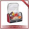 fashionable picnic cooler bag