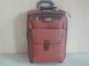 fashionable weave EVA trolley luggage