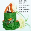 fashional cooler bag