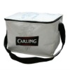 fashional cooler bag