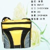 fashional cooler bag