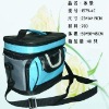 fashional cooler bag