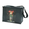 fashional cooler bag