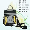 fashional cooler bag