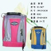 fashional cooler bag