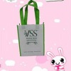 fashional non woven gift bag