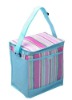 fashional nonwoven cooler bag