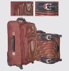 fashional zabra luggage case