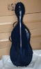 fiebrglass cello case