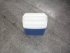 foam cooler box