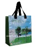 foldable pp woven shopping bag with lamination