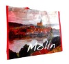 foldable pp woven shopping gift bag