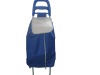 foldable trolley bag