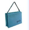 folder bag/non woven bag/shopping bag/Polyester Bag/PP bag