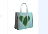 folder bag/non woven bag/shopping bag/Polyester Bag/PP bag