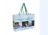 folder bag/non woven bag/shopping bag/Polyester Bag/PP bag