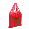 folder bag/non woven/promotional bag