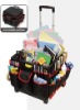 folding and rolling organizer